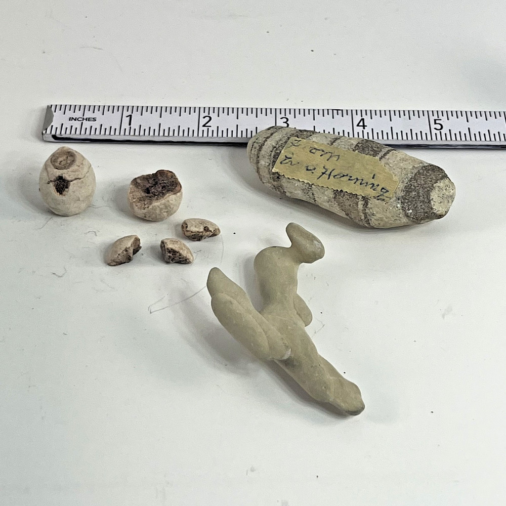 Fossil Coral Crinoid Travertine Mixed Lot Natural Specimen Collection Display